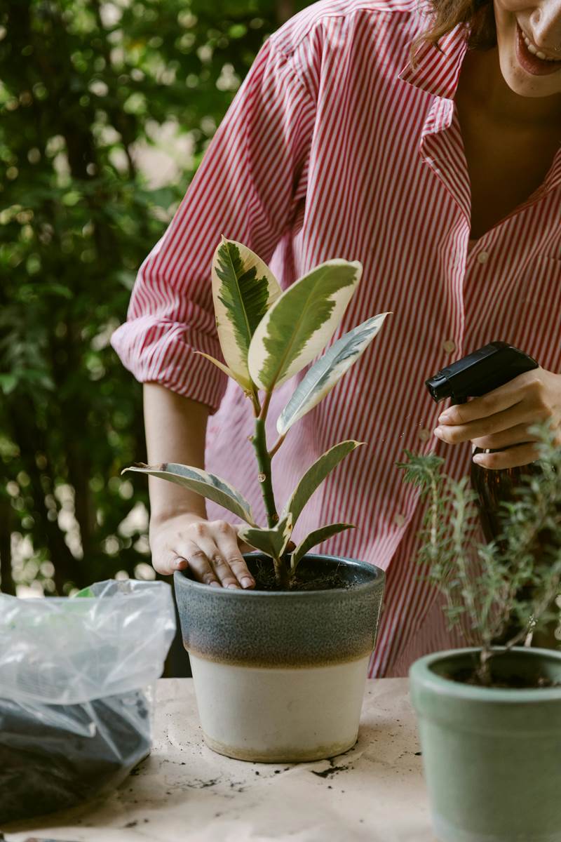 pexels-ketut-subiyanto-4132399-gallery-home