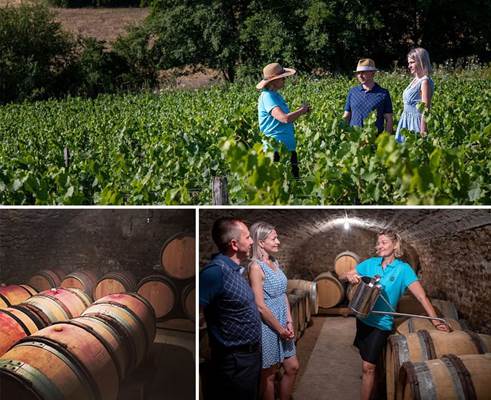 Expérience unique au coeur de nos vignes