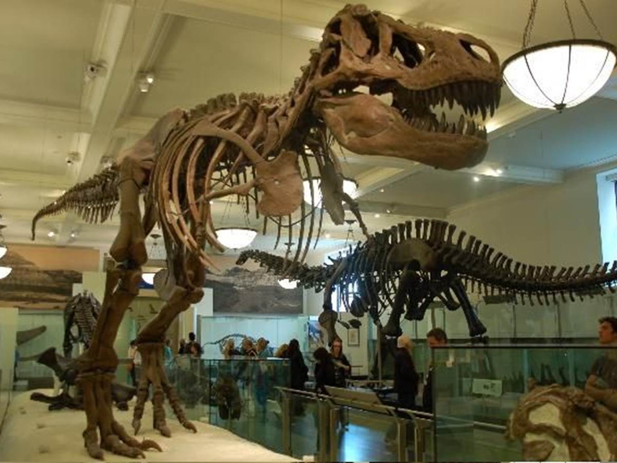 musee de jour-photo-gallery