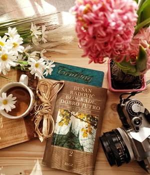 pexels-ena-marinkovic-1814213-3774941