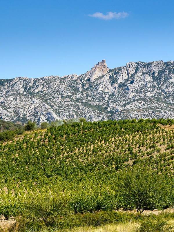 Roussillon (vallée de Maury)-gallery-offer