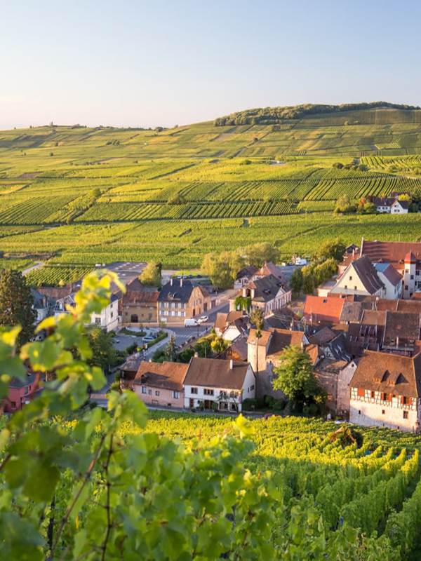 thio-riquewihr-et-son-vignoble-tristan-vuano-1600x900-gallery-offer
