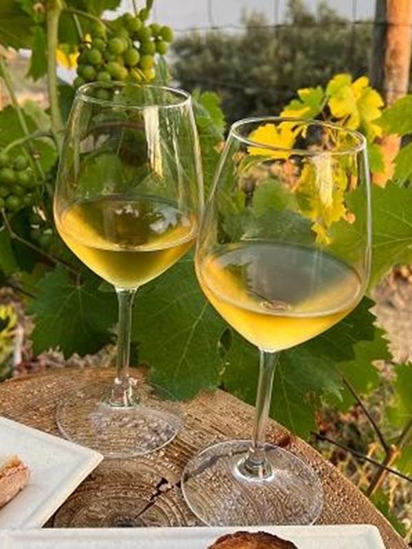 apéro dans les vignes-gallery-offer