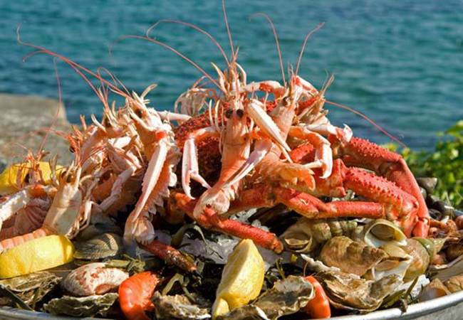 plateaufruitsdemerbzh