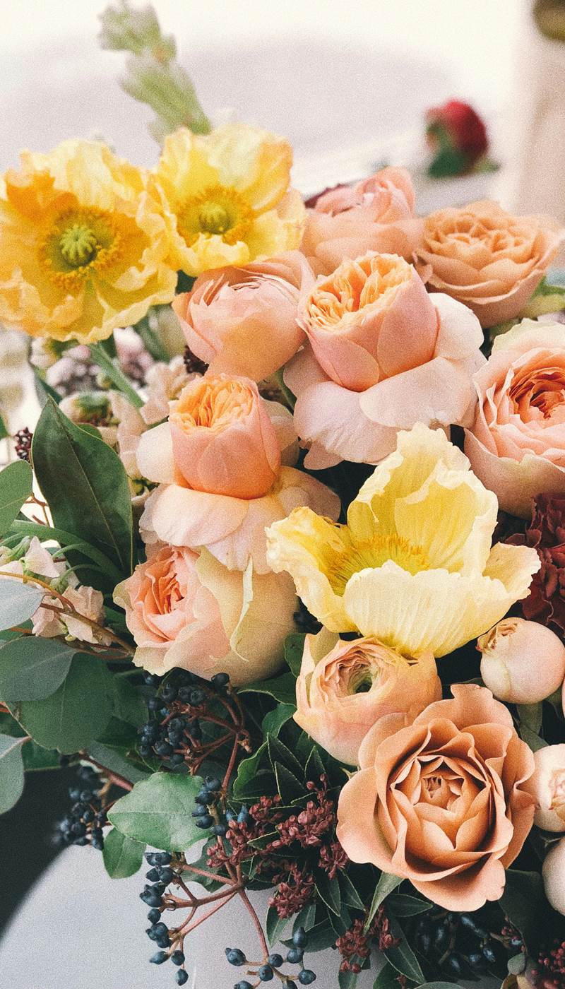 pexels-secret-garden-333350-931179-presta