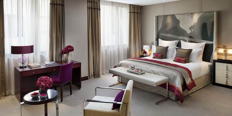 Suite-special-offer