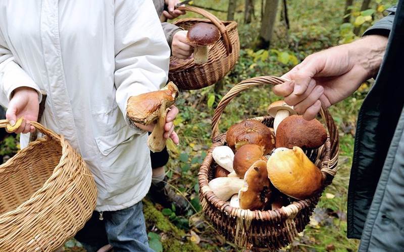 image-photo-news